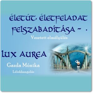 Életút, életfeladat felszabadítása 4 az 1-ben
